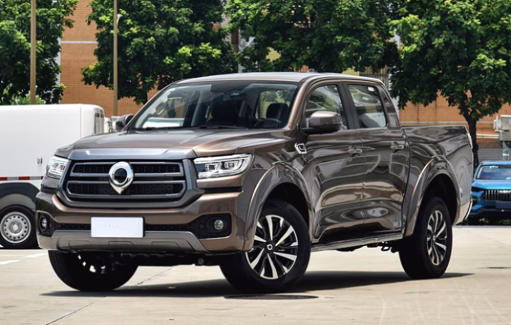 auto from china pickup truck-02