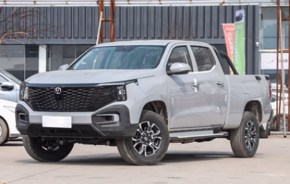 auto from china pickup truck-03